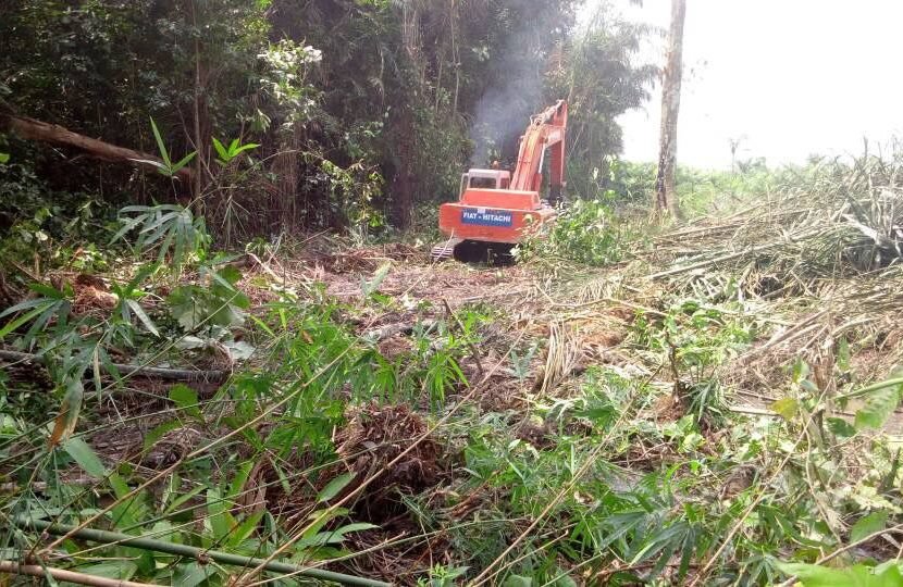 Clearing Brush